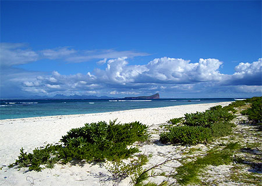 Flat Island